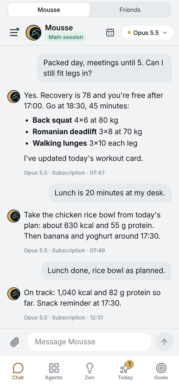 A chat with the assistant